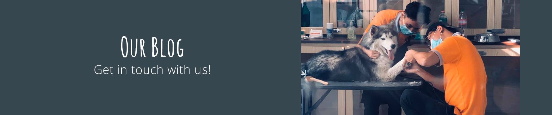 Banner Images
