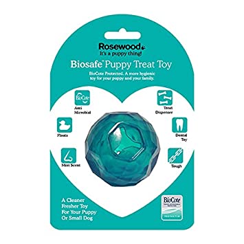 BIOSAFE PUPPY TREAT BALL BLUE 