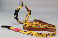 collar+leashes BO-1232