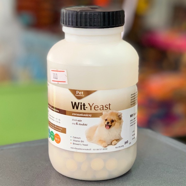 Dai Su Ki Wit-Yeast (380 Tablets)