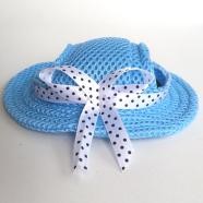 Pet Hat Blue Color Small Size JGS-007