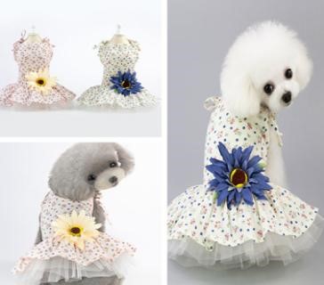 Pet Girl Blue Flower YP-201901012 (XS)