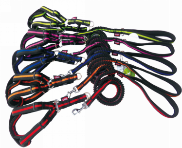 Pet H-Harness &amp; Leash ZC1047 (M)