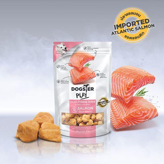 Dogster Play Freeze Dried Salmon (40G)