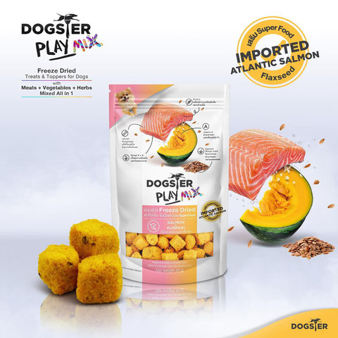 Dogster Play Freeze Dried Salmon &amp; Pumpkin (40G)