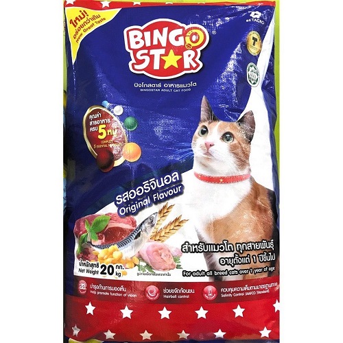 Bingo Star