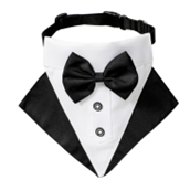 Pet Collar Boy Suit black (S) QG-146