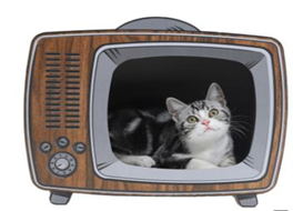 Cat Scratcher House Radio STZ0118