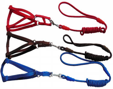 Pet H-Harness &amp; Leash ZC1129(L)