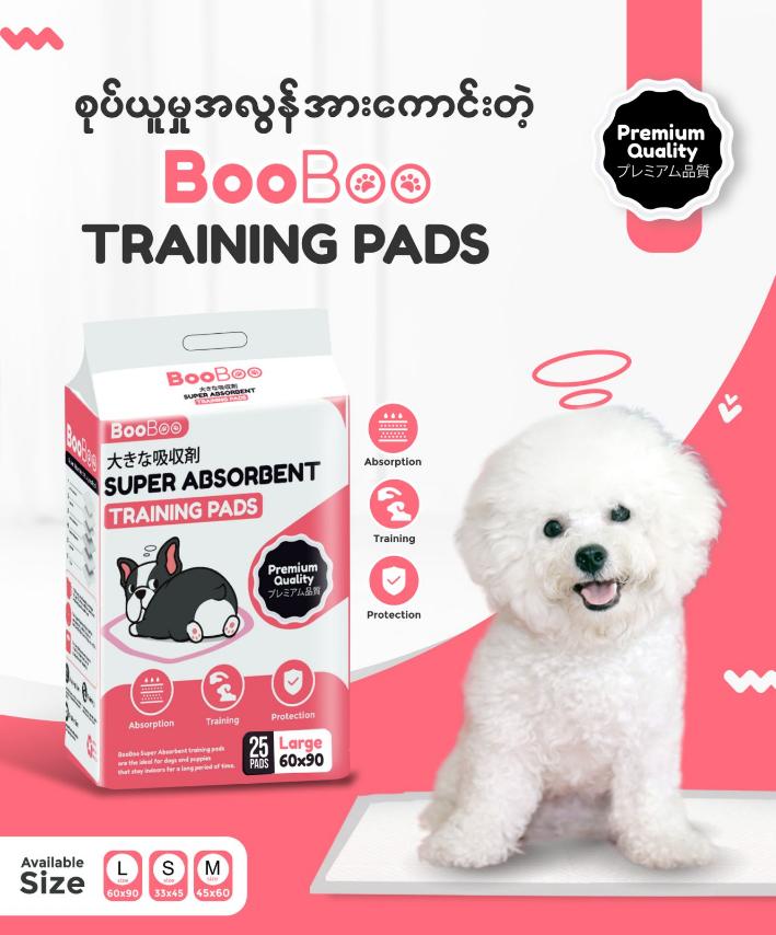 Boo Boo Super Absorbant Training Pads (S) 30*45cm (100pcs)