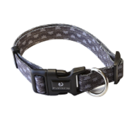 Everking Dog Collar (L)0101-6AL (37cm - 60cm)