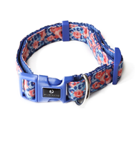 Everking Dog Collar(S)0103-4AS (23cm - 39cm)