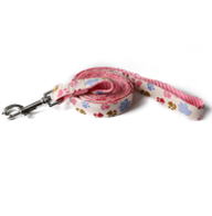 Everking Dog Leash(S)0103-5BS (1.5cm x 150cm)