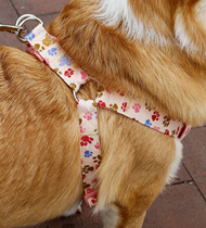 Everking Dog Harness(M)0103-5CM (46cm-65cm)