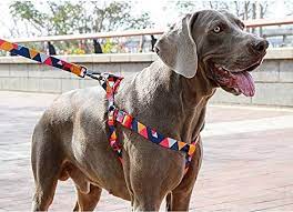 Everking Dog Harness(M)0202-7CM (46cm-65cm)