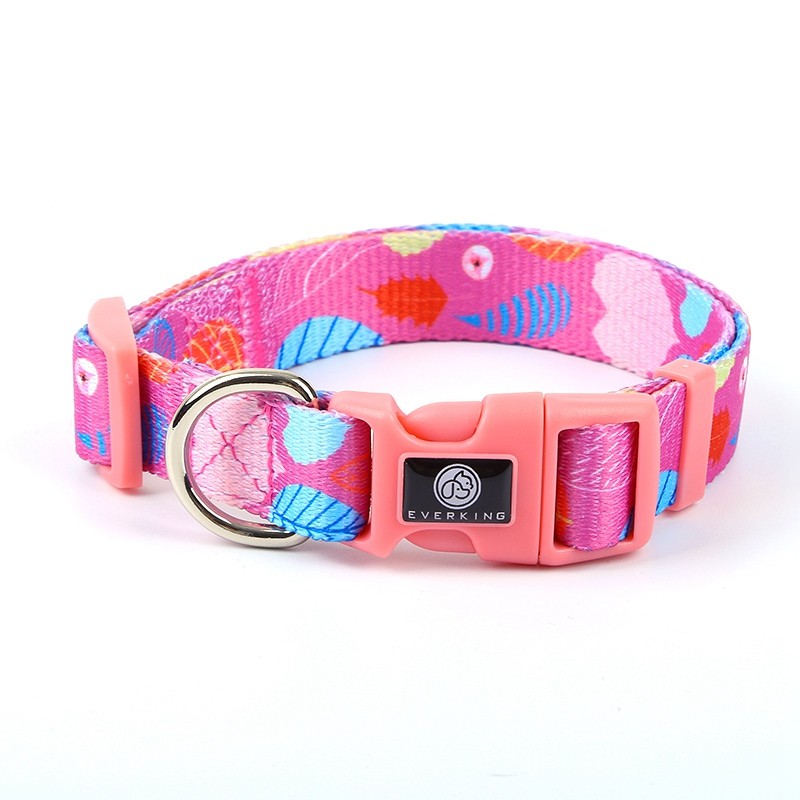 Everking Dog Collar (S)S3005-3AS (23cm - 39cm)