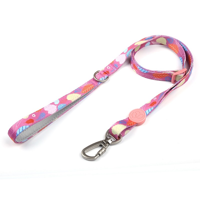 Everking Dog Leash(L)3005-3BL (2.5cm x 100-150cm )