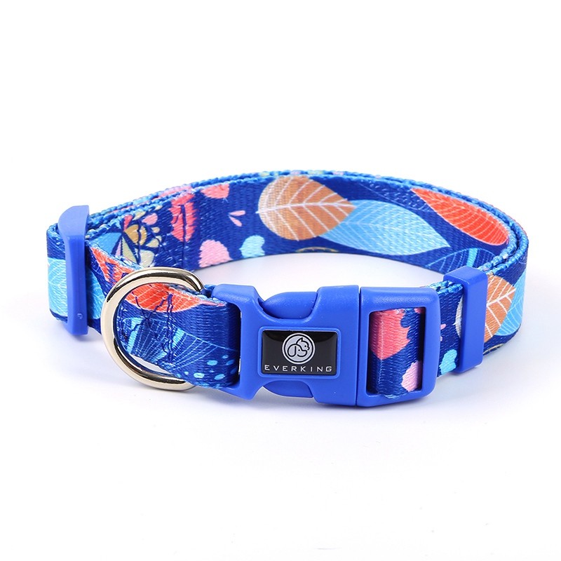 Everking Dog Collar(S)3005-4AS (23cm - 39cm)