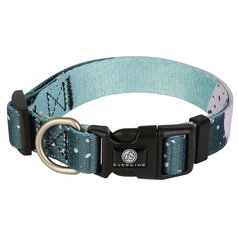 Everking Dog Collar (S)4010-1AS (23cm - 39cm)