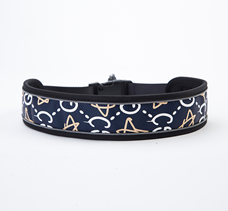 Everking Dog Collar (S)9004-2AS (28cm - 45cm)
