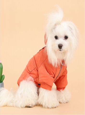 Pet Jacket LYF0024OG-M