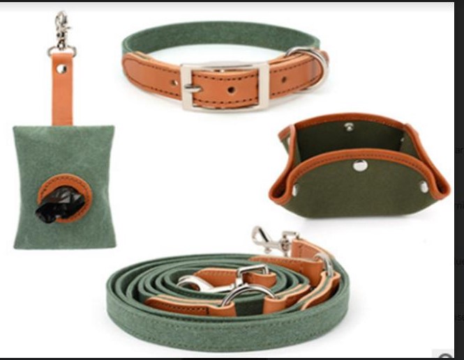Canvas, leather head Collar S+ single head traction + folding bowl + poop picking bag (green)- A2012 (s)