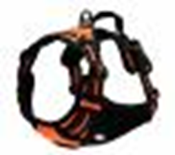 FRONT RANGE NO PULL DOG HARNESS Horizontal Handle Orange(S)SDXB-1