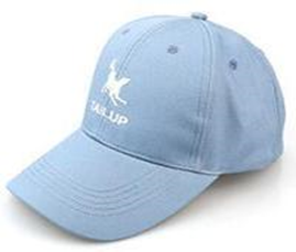 Pet MASTER HAT Blue (M) QZMH-1