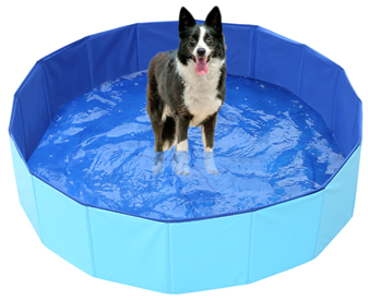 Pet Swimming Pool (XL 160X30cm) GYBD-001