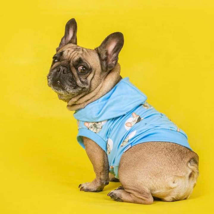 Comfy Hoodies Blue(L)