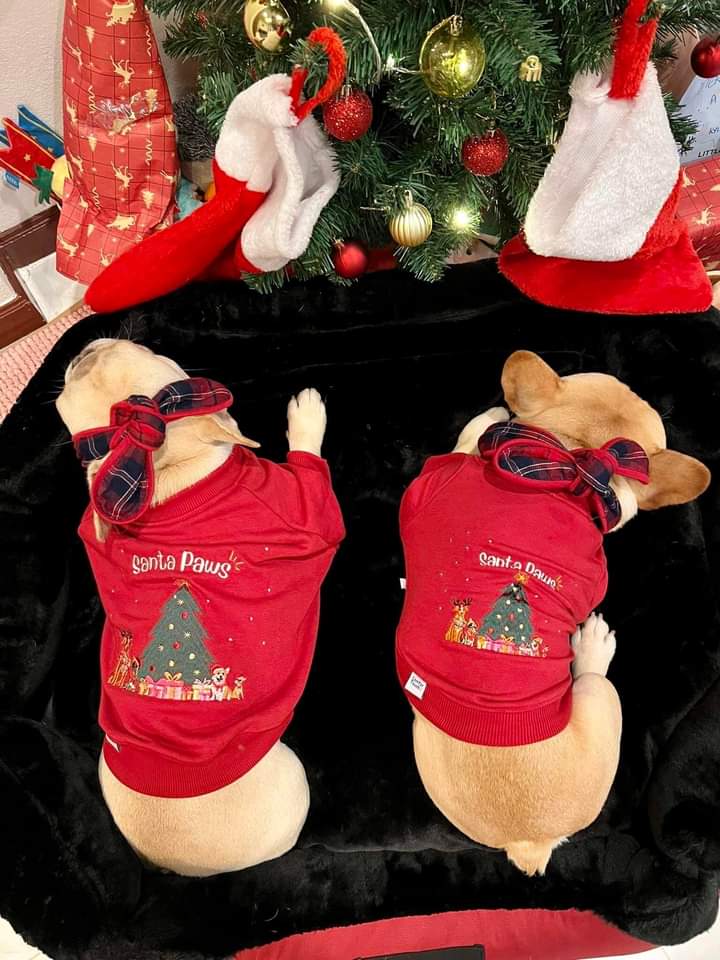 Comfy Christmas Collection (2XL)