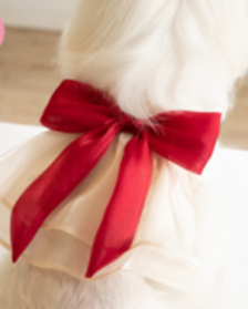 Pet Korea Style Red Bow Dress WCXZ-10 (M)