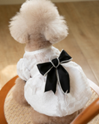 Pet Korea Style Black Bow with White Dress WCXZ-27 (S)