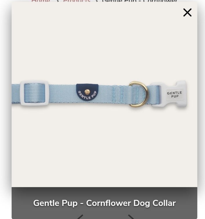 Gentle Pup - Cornflower Dog Collar XS
