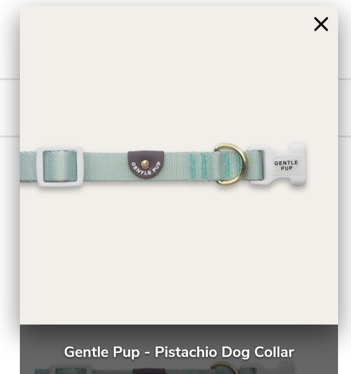 Gentle Pup - Pistachio Dog Collar M