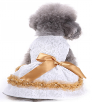 Pet Girl White Dress MQ-XZD297 (L)