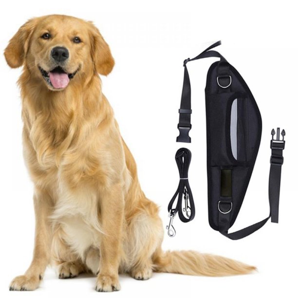 Pet Bag and Leash Black Color YBD-6