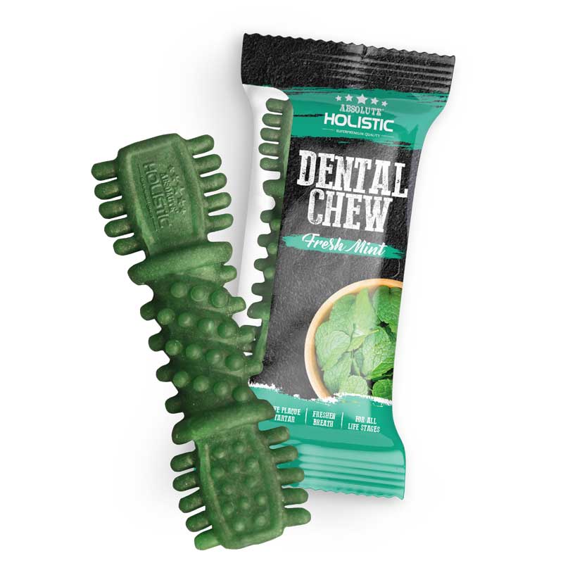 Absolute Fresh Mint Dental Chew 4" (25g/pc)