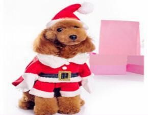 Fuuny Cloth Chrismas Red MQ-PF62 (S)