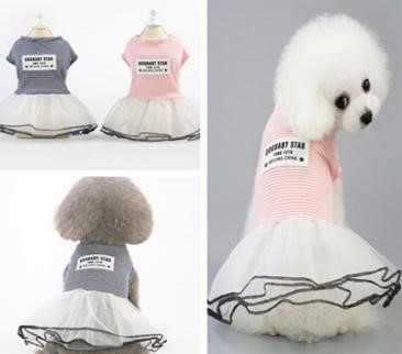 Pet Girl Black Color  YP-201901009 (XS)