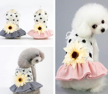 Pet Girl Sunflower Pink YP-201901022 (XL)