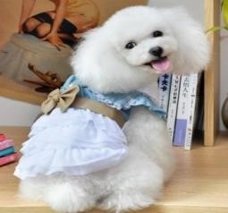 Pet Girl Washed Denim Dress E27 (S)