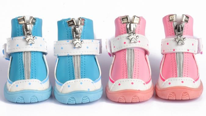 Pet Shoes Sky Blue Color XB1952 (Size-4) - 4.8*3.9
