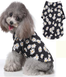 Pet Daisy Shirt  Black Color XL-size  MQ-XZCS03