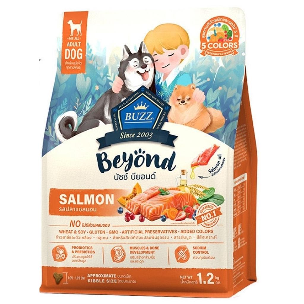 Buzz Beyond Adult Dog Dry Food Salmon 1.2kg 